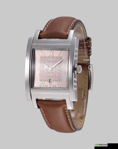 BURBERRY 中文免费版，尽享奢华时尚