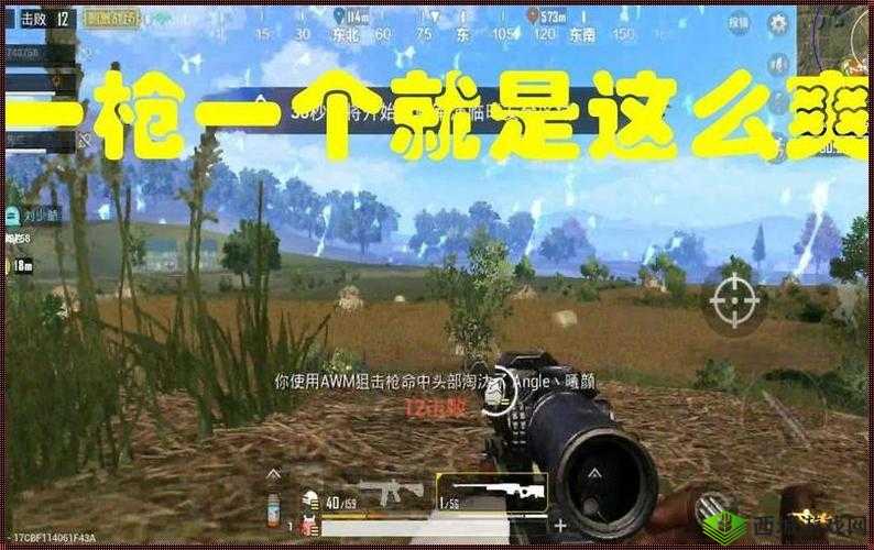 B站刺激战场户外直播:精彩对决来袭