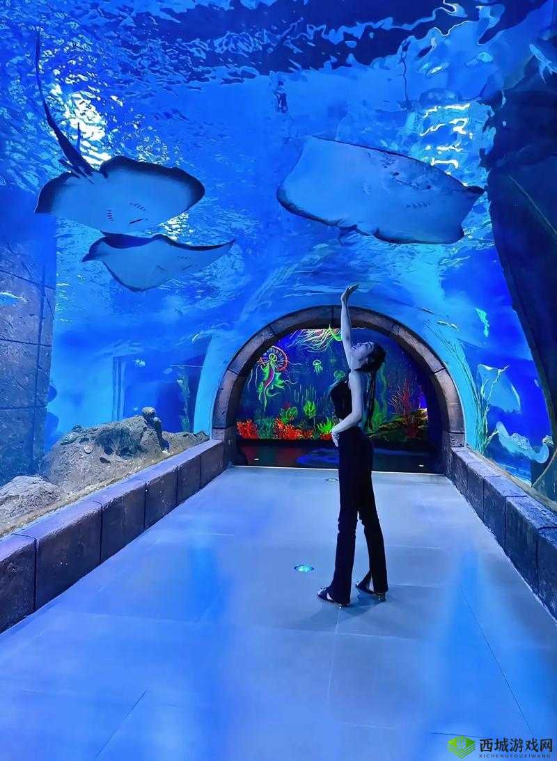 鱿鱼 b25777 直接进入：神秘入口等你来探索