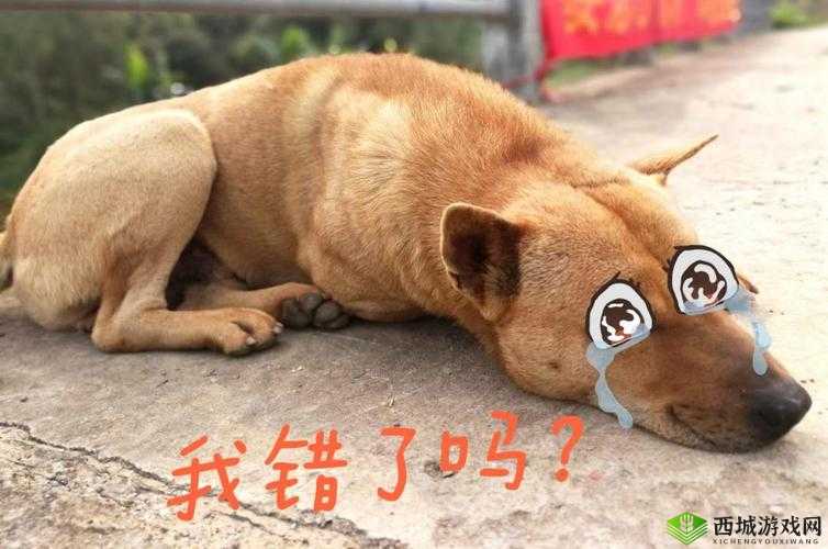 主人我错了，请把它关掉好吗：诚恳请求关掉