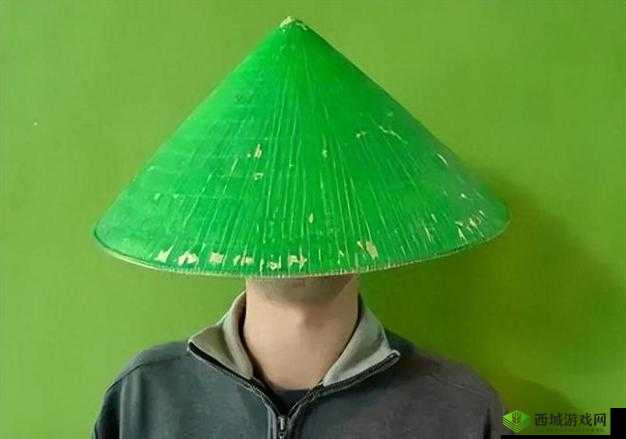 绿帽子精选系列 70:独特精彩不容错过