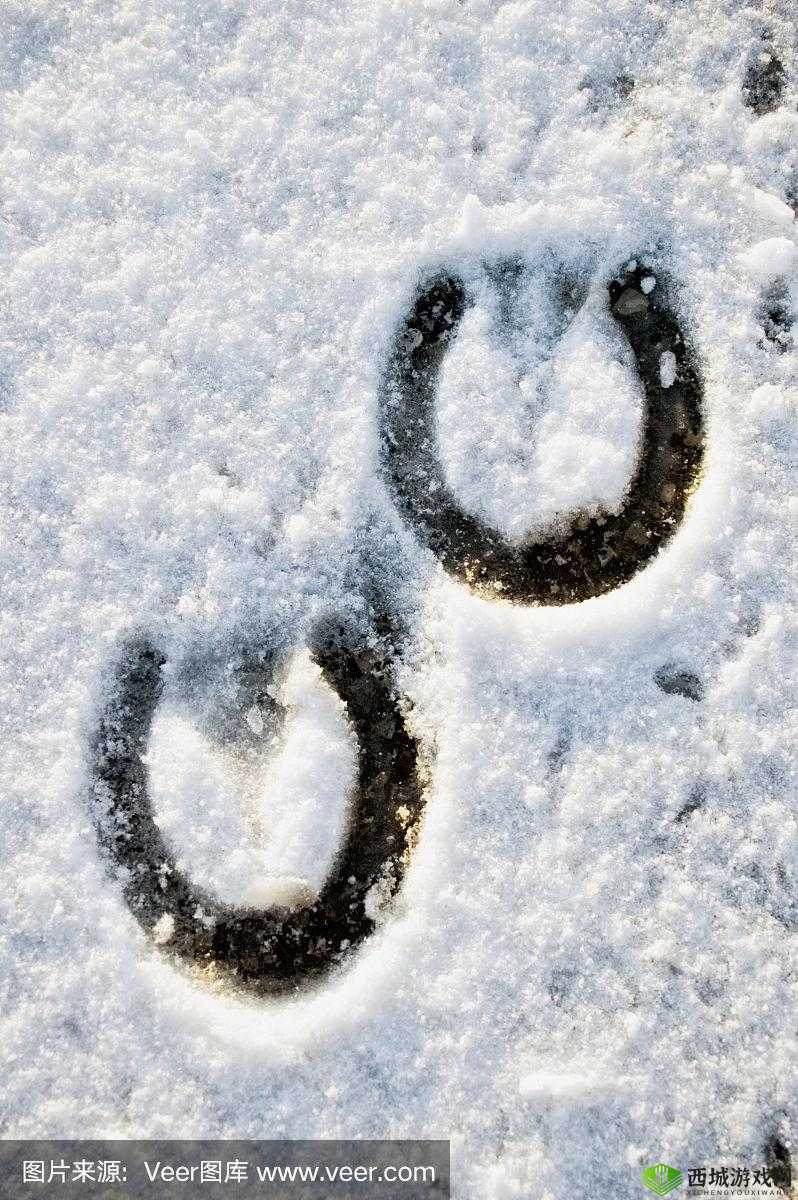 沿着马的足迹：深入古代