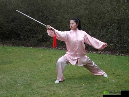 《仙侠之剑尊职业揭秘：探秘巅峰剑术的传奇之路》