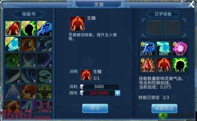 倩女幽魂手游灵兽技能解析:朱雀火之威能揭秘,灵兽技能图鉴大全展