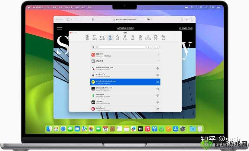 免费网站安全软件大全苹果版：实用推荐