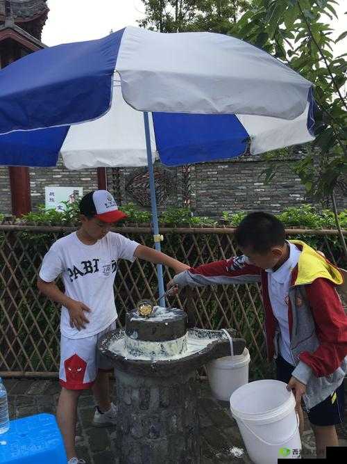 男女一起努力做豆浆的乐趣:温馨时刻