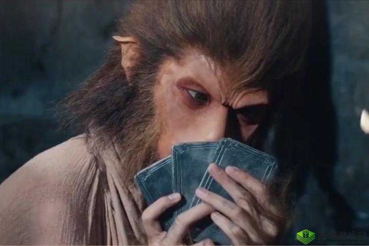 打扑生猴子：一场奇特的行为演绎