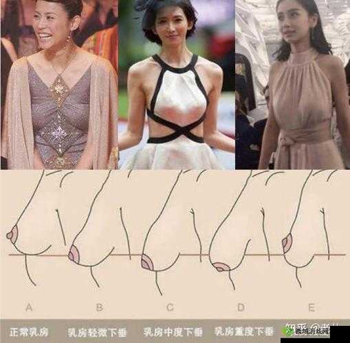 男人喜欢一只手能握满的胸围吗：真的吗