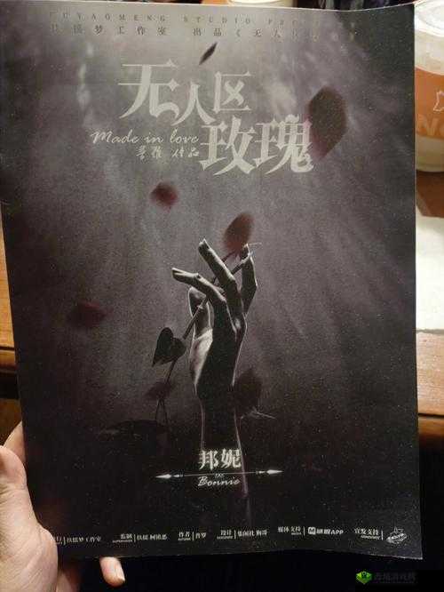 无人区玫瑰与一颗狼星相似隐藏了什么之探究