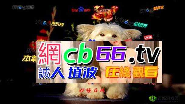 成品网源码 78w78 独特功能：XX、XX、XX