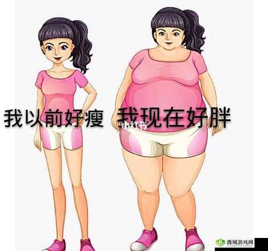 女孩子 bb 肥好用还是瘦好用：到底哪个更优