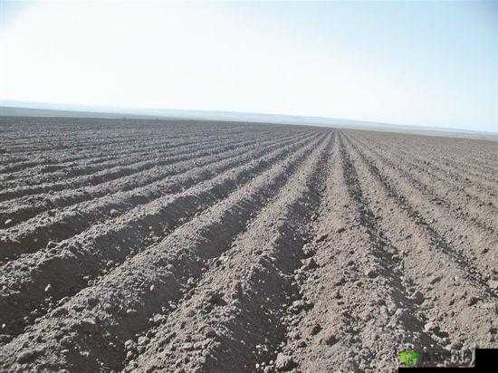 开垦妈妈肥沃的土地好吗:这是什么奇怪表述