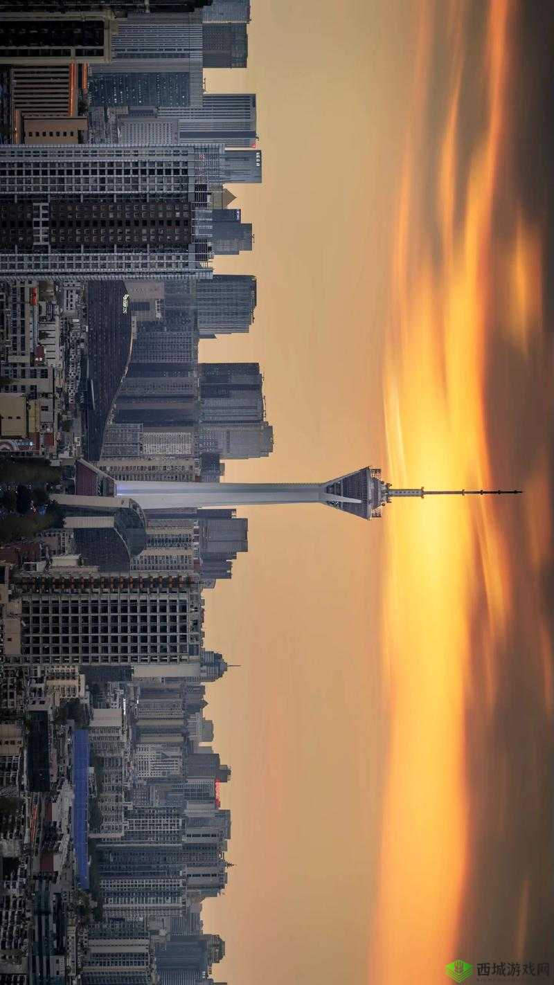 96533 电视影片免费：无聊时的绝佳选择