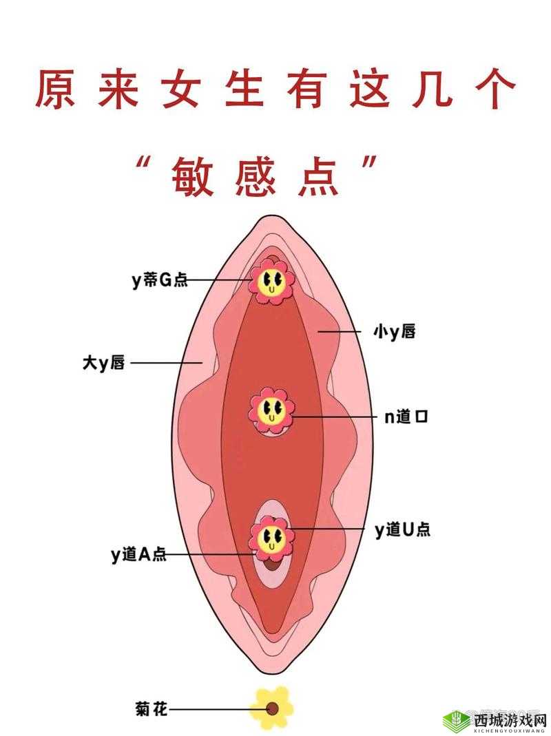 新手自己扣:私密探索的正确方法
