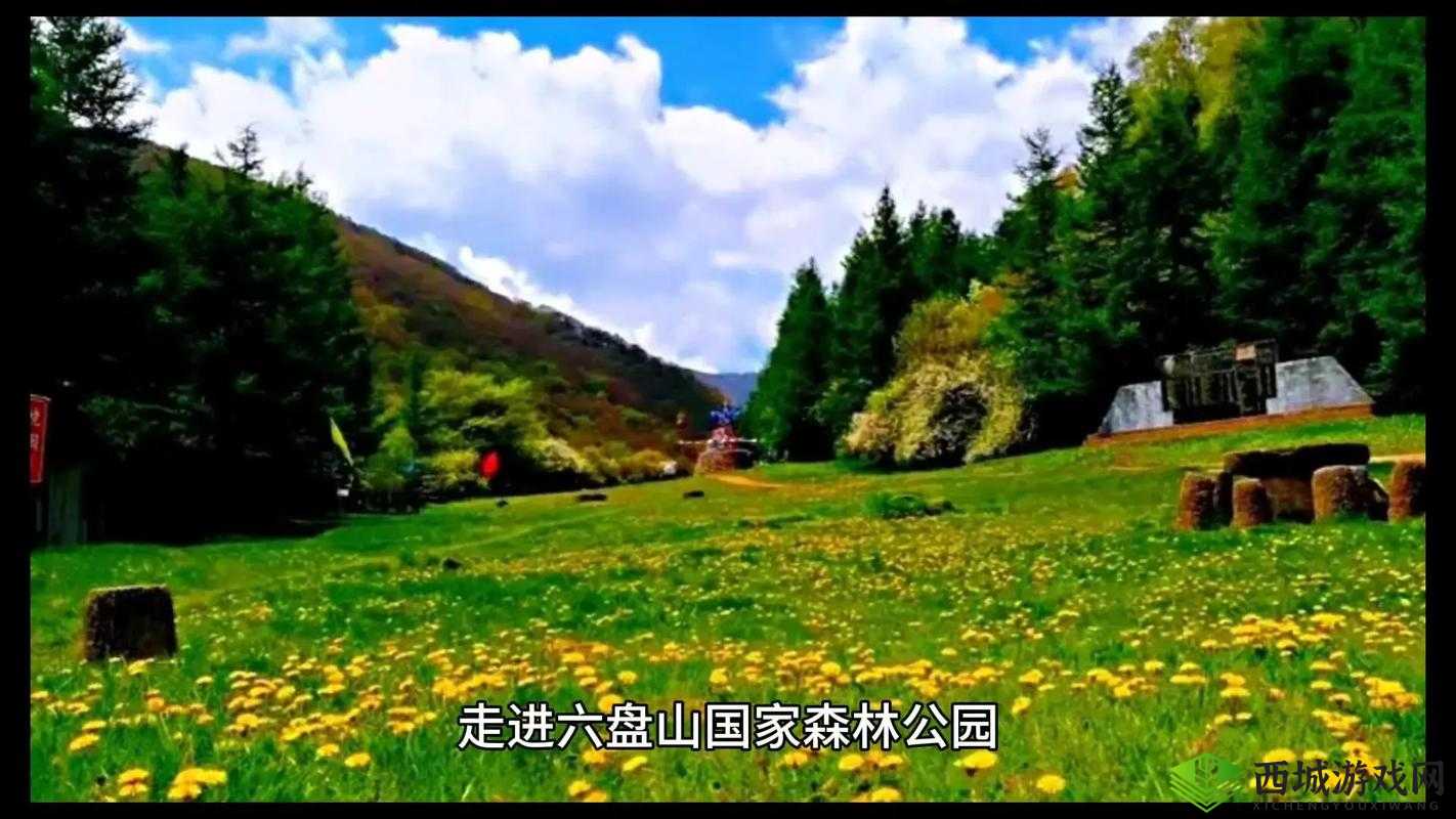 手:从下腹到丛林的私密旅程