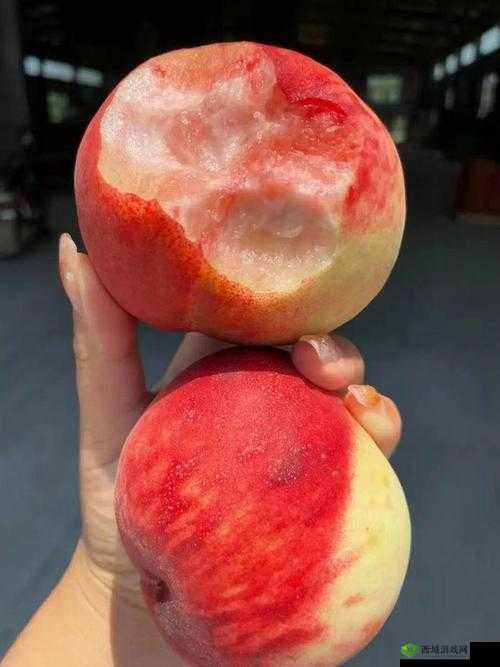 X7X7X7X7 水蜜桃可无限制进入：畅享甜蜜滋味