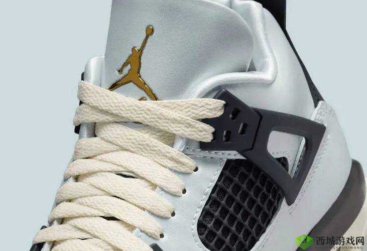AIR JORDAN 重口：付费方可访问