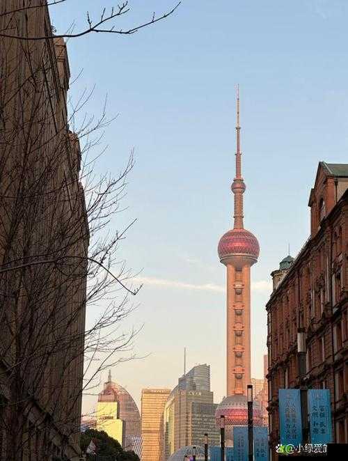 双阳插花芯：传统工艺的璀璨明珠