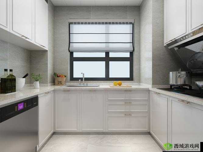 厨房挺进同学麻麻的别样故事