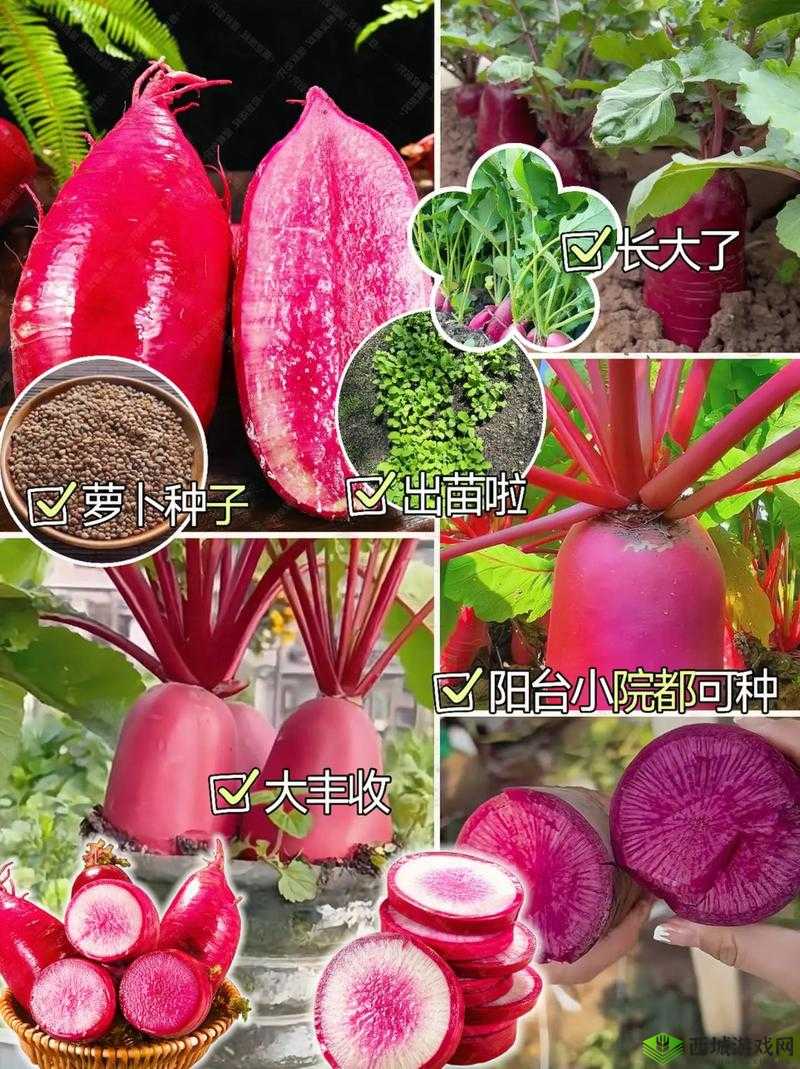 MAX1978 国产替代:优质之选