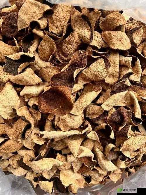 久一线产区二线产区三线产区不再更新：这意味着什么