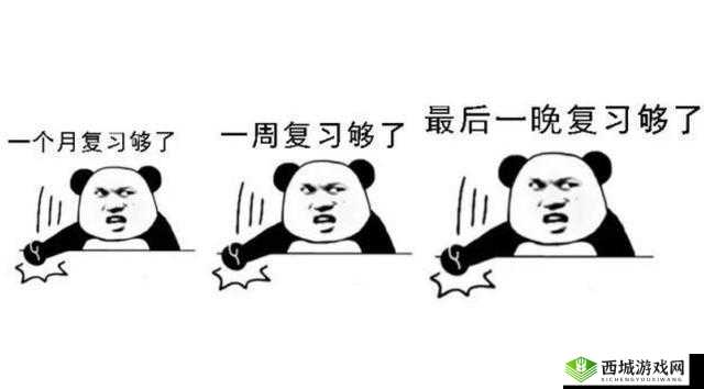 学渣骑学霸鸡背单词：荒诞与励志的奇妙组合