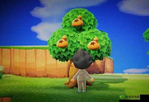 橡栗宝藏：动物森友会中橡栗的神秘用途与作用解析