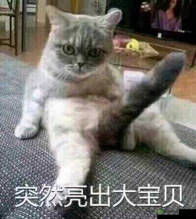 八寸长的大宝贝:令人瞩目的存在