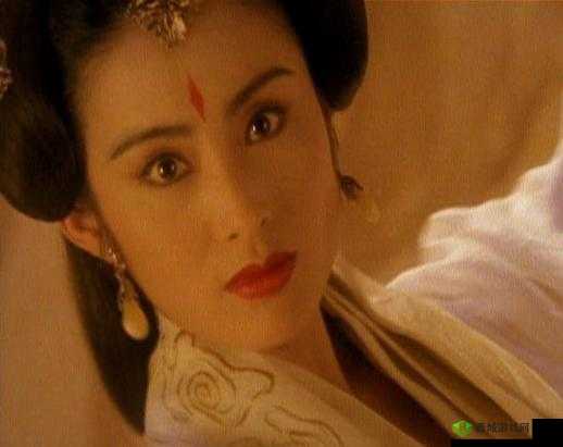 白洁赵敏张倩是谁之神秘探究