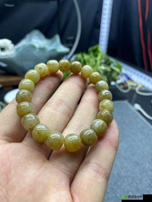 杨大壮和田桂花的第二十九:儿子的困境