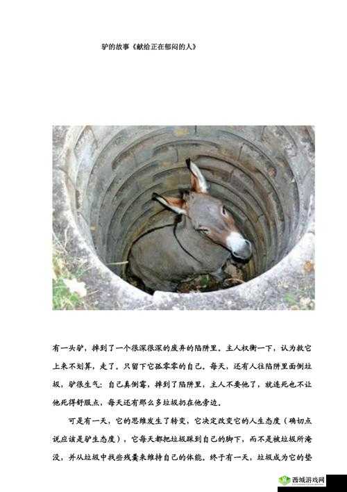 傻大壮长的驴一样的东西：一则有趣的故事