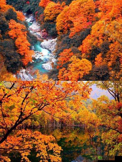 老孙头退休后日的大女儿叫啥名：探寻背后的故事