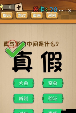 真与假之间的神秘谜题：神脑洞游戏第70关攻略大全