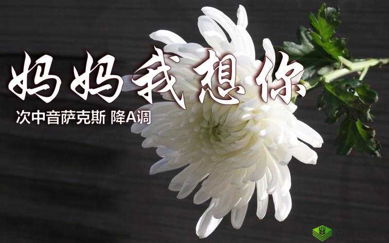 母亲とが話しています：动人的旋律