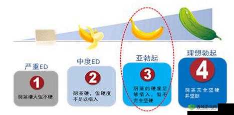 正常男人多少天一次夫妻生活正常:专家解读