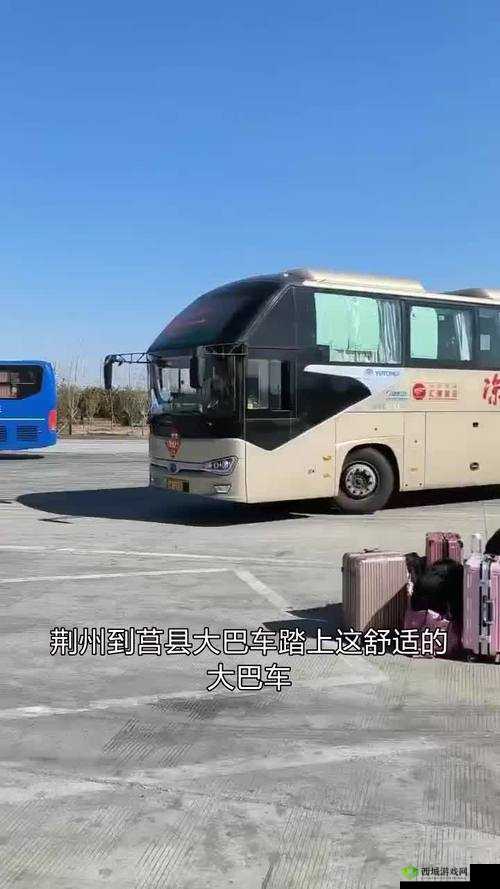 公交车上的诗情晴：一段诗意的旅程