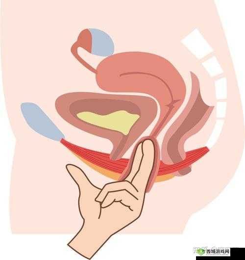女生做完下面疼几天能恢复:影响因素及应对策略