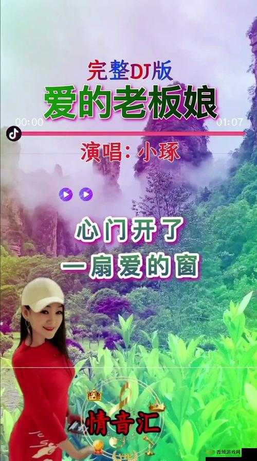老板娘越来越漂亮Dj 女歌曲:旋律中的魅力