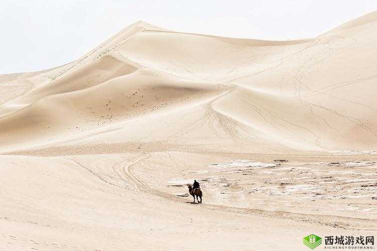美梦视频大全免费观看:海量精彩梦境等你探索