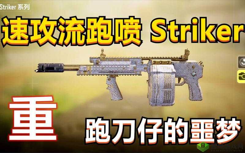 使命召唤手游Striker武器性能解析：属性览与实战应用效果评估