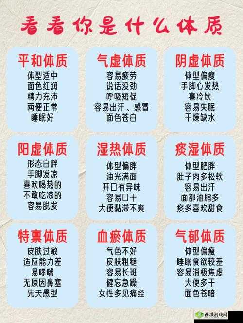 修真江湖中的至尊体质解析：探寻最佳体质推荐与奥秘之旅