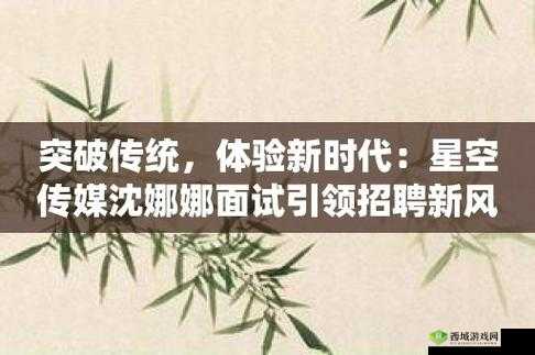 星空传媒沈娜娜面试功能介绍：全面了解其功能特点