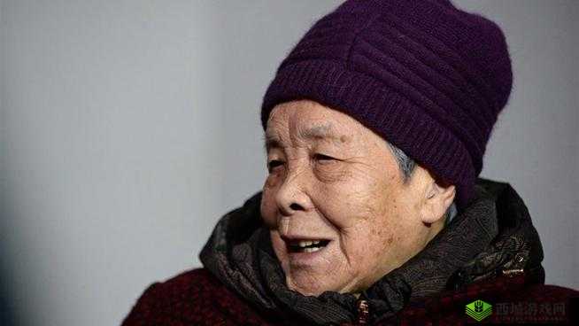 沈阳老阿姨最后的巅峰：一段传奇的落幕