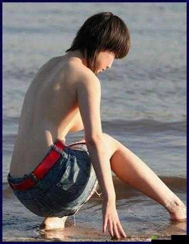 张雨欣人文艺术欣赏 PPT：领略艺术之美