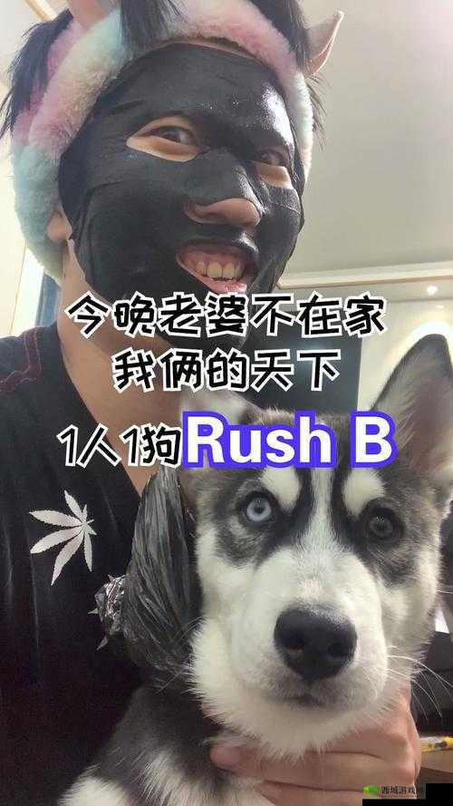 老婆不在家一人玩 CSGO 倍感寂寞