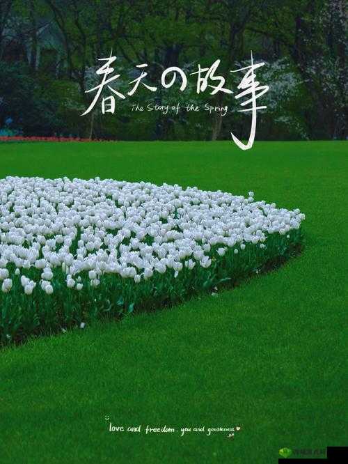 老孙头的春天林初晴：故事开始