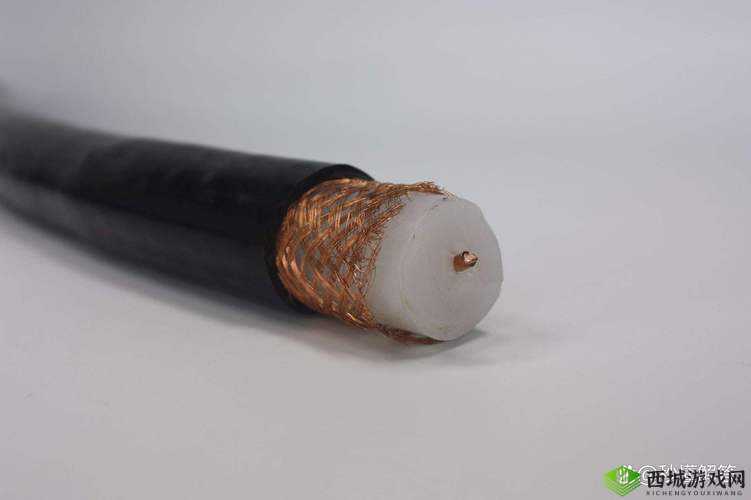 75 欧射频线与 65 欧射频线区别探讨