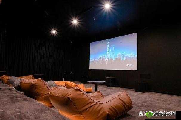 私人 IMAX 家庭影院:极致视听盛宴之所