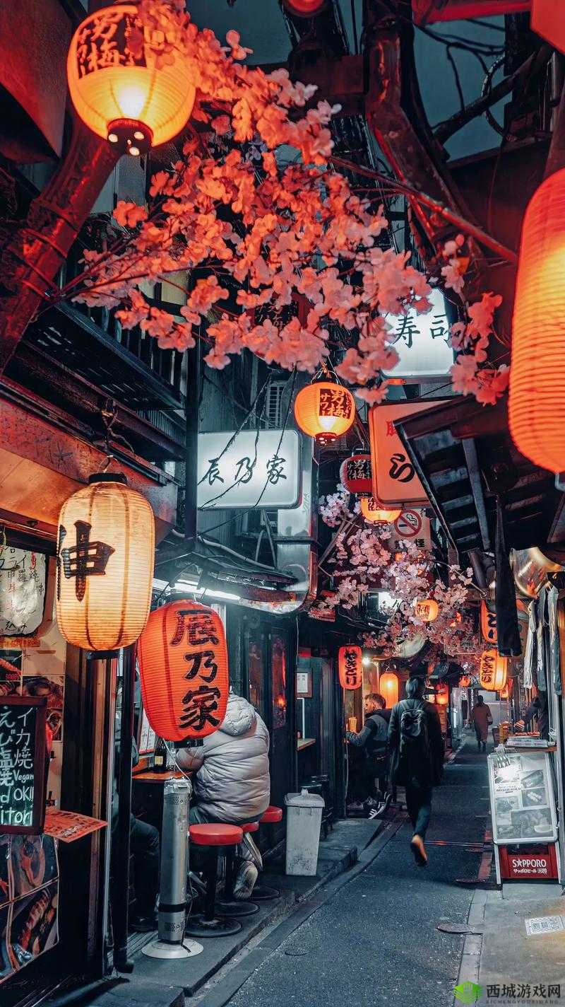 成品网站入口隐藏通道：探秘其背后的秘密