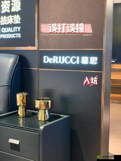 电梯深度开发 1V6 笔趣阁如何：探寻其背后秘密